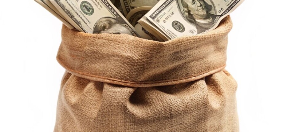 Traditional money bag filled with cash