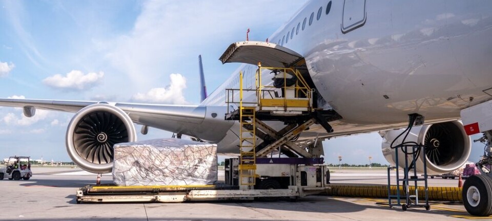 Cargo containers being loaded into the side hold of a commercial jet on the airport tarmac