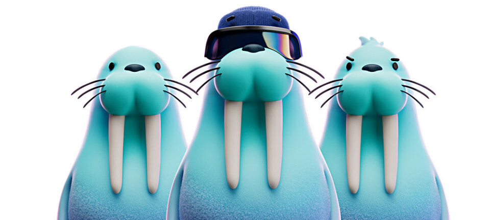 Walrus Foundation Walrus logos.