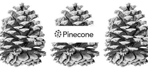 Pinecone teaser.