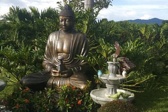 WhatsApp Image 2023-04-03 at 11.59.12 AM (2)